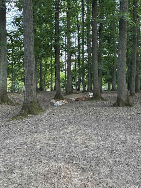 Sport & Freizeit Natur-Resort Tripsdrill