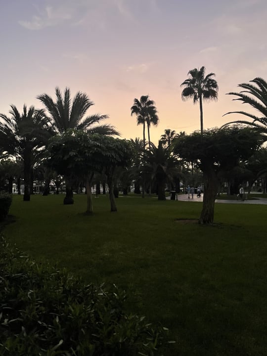 Gartenanlage Hotel Riu Gran Canaria