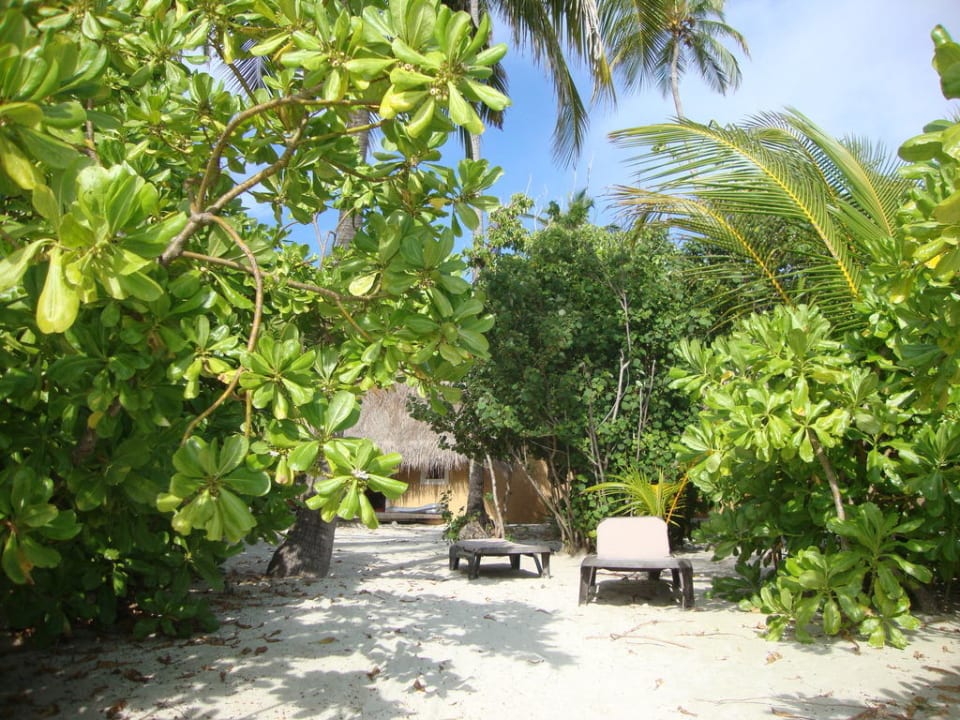 Blick vom Strand aud den Bungi Kuredu Island Resort & Spa