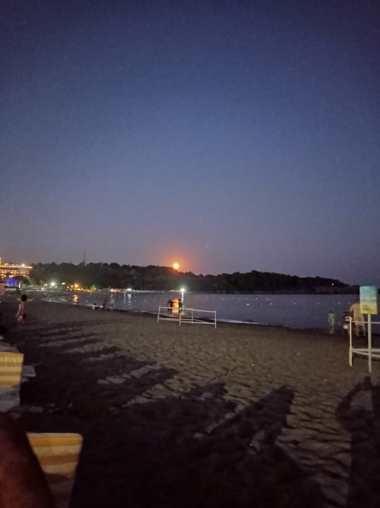 Strand Hotel Gardenia Beach