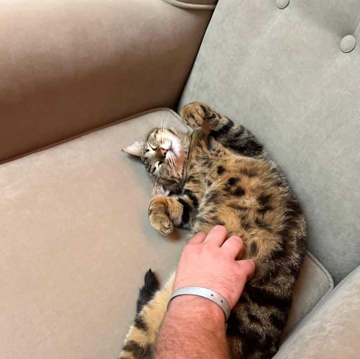 Sonstiges Mary Hotel Side