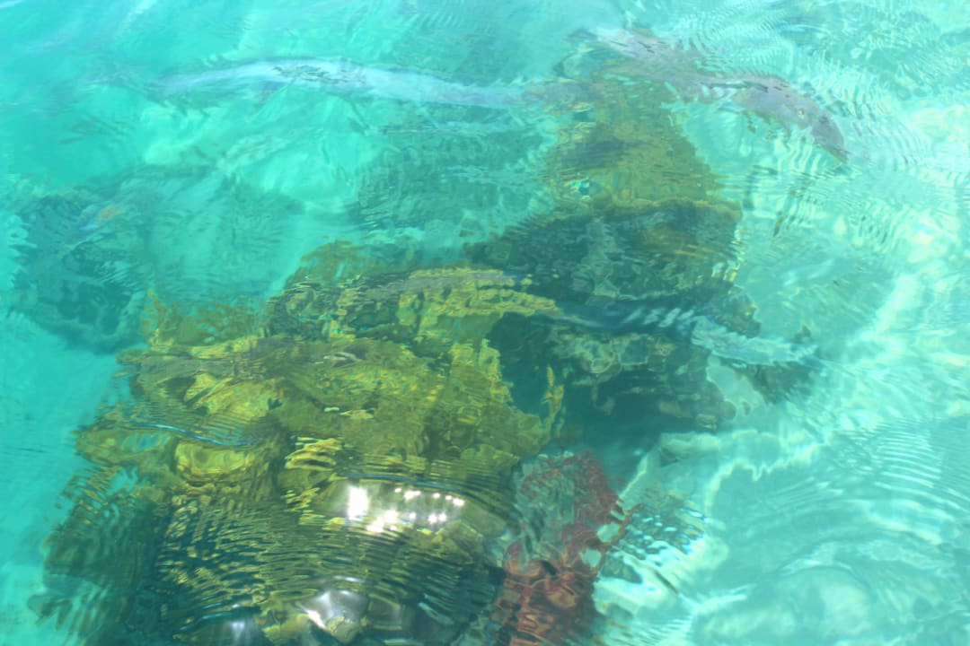 Снимали с катамарана Sea Star Beau Rivage