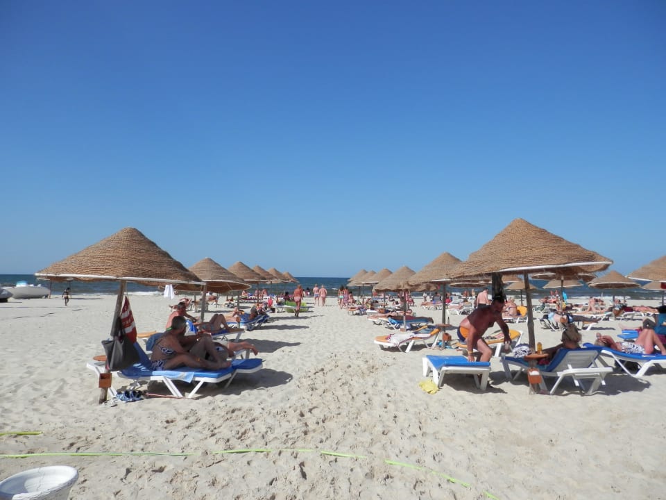 Tropicana club  Hotel Club Tropicana & Spa