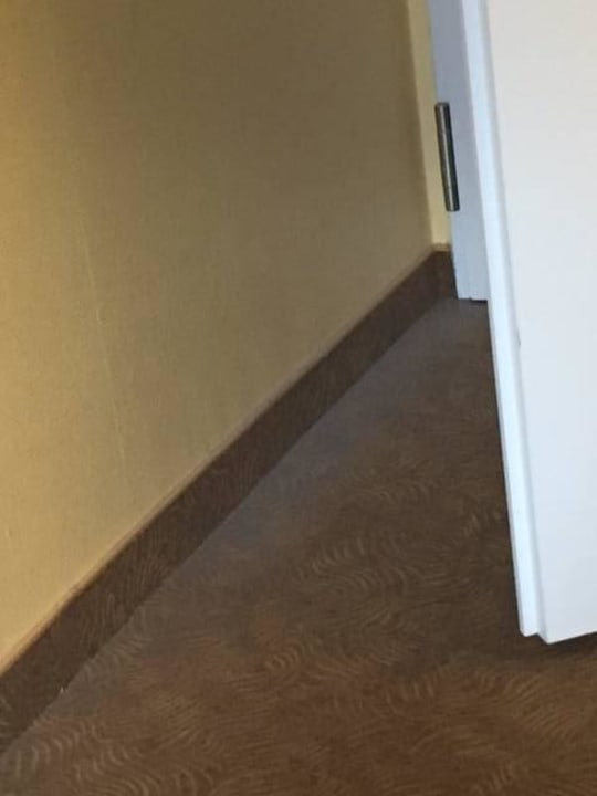 Zimmer B&B Hotel Braunschweig-Nord