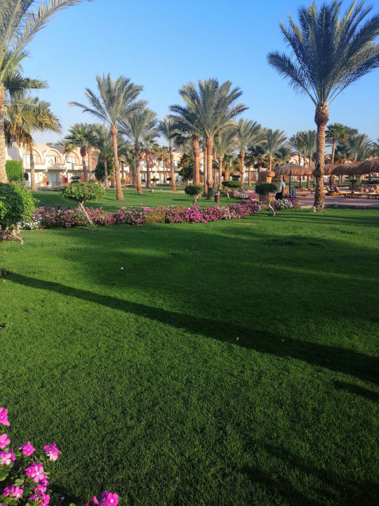 Gartenanlage Three Corners Sea Beach Resort