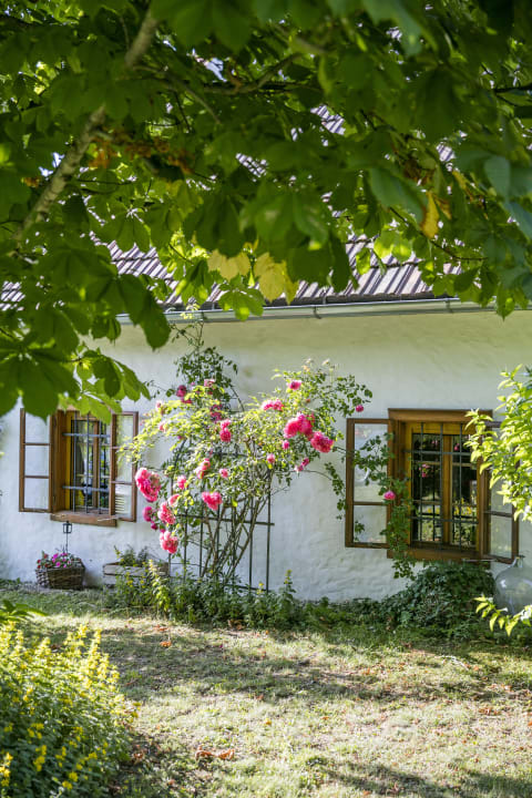 Gartenanlage Hotel Altes Gehöft am Lormanberg