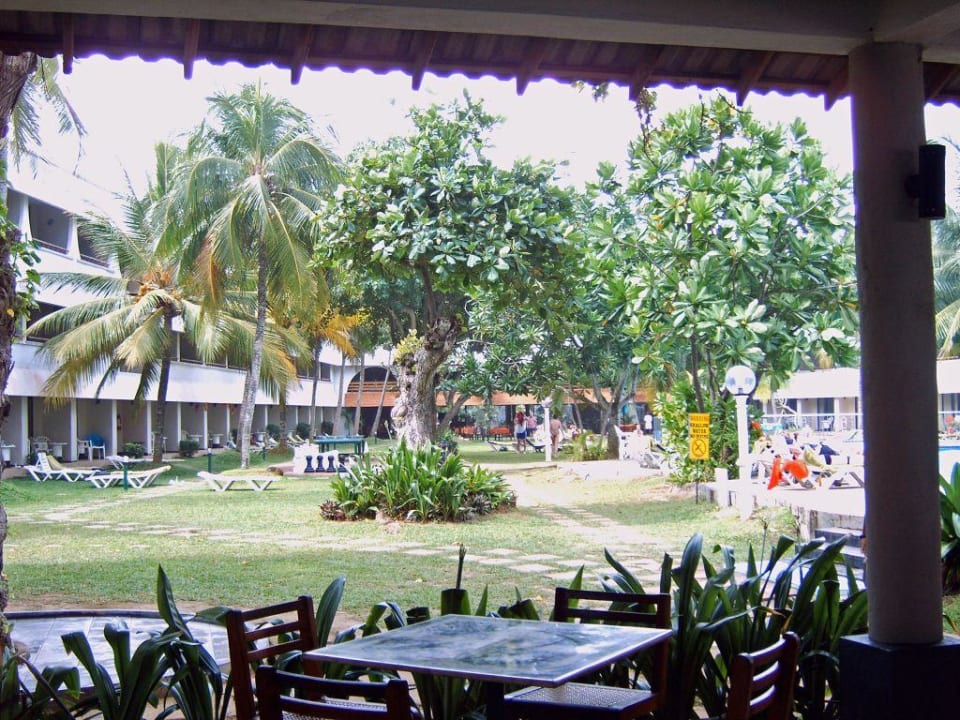 Liegewiese Hotel Club Palm Garden