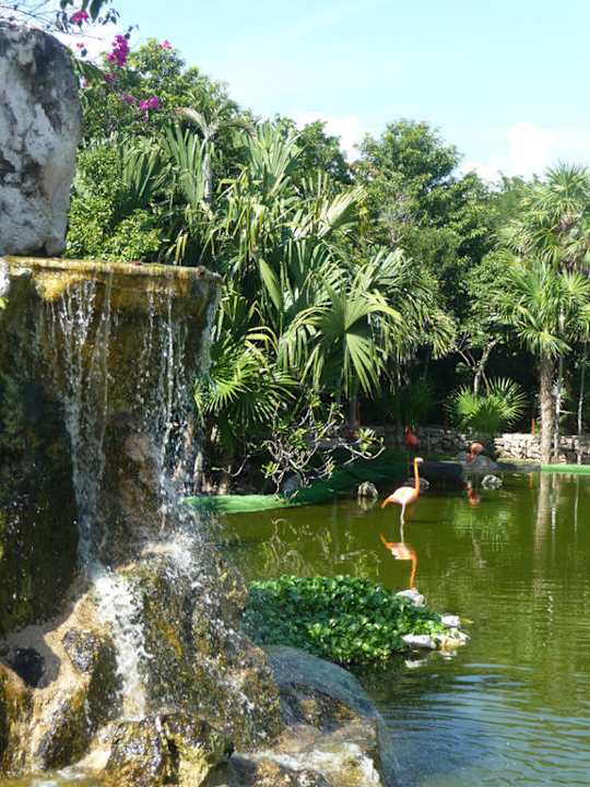 Flamingos Grand Palladium Kantenah Resort & Spa