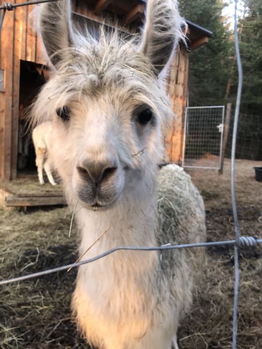 Sport & Freizeit Gasthof Pension Aschlandhof