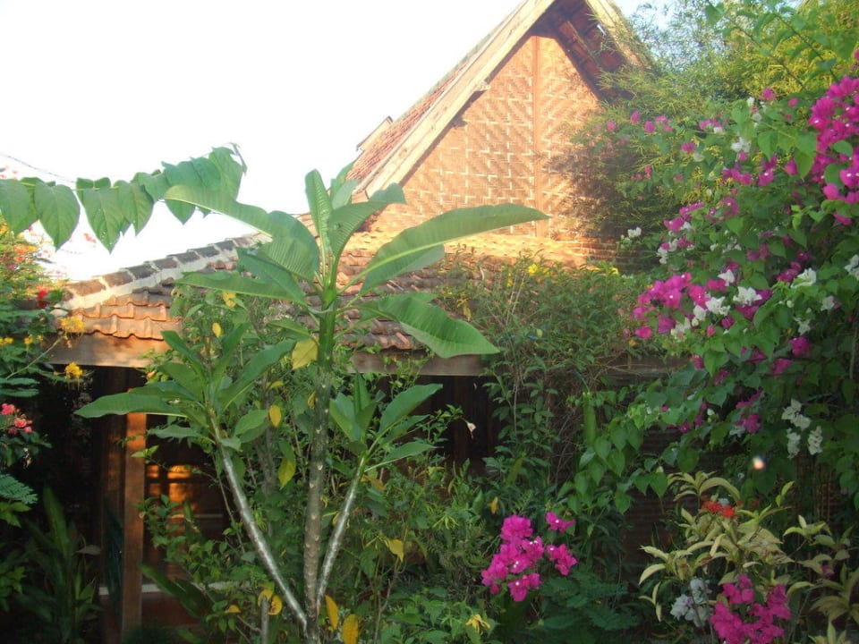 Bungalow Rosa's Ecolodge