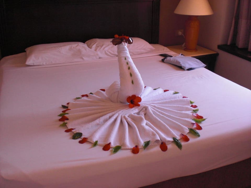 Handtuchtier Steigenberger Coraya Beach - Adults only