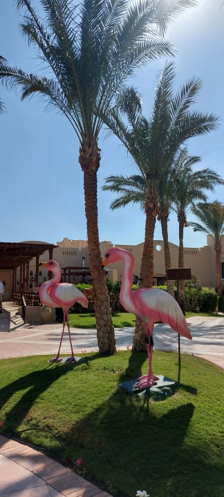 Garten Hotel JAZ Makadi Star & Spa
