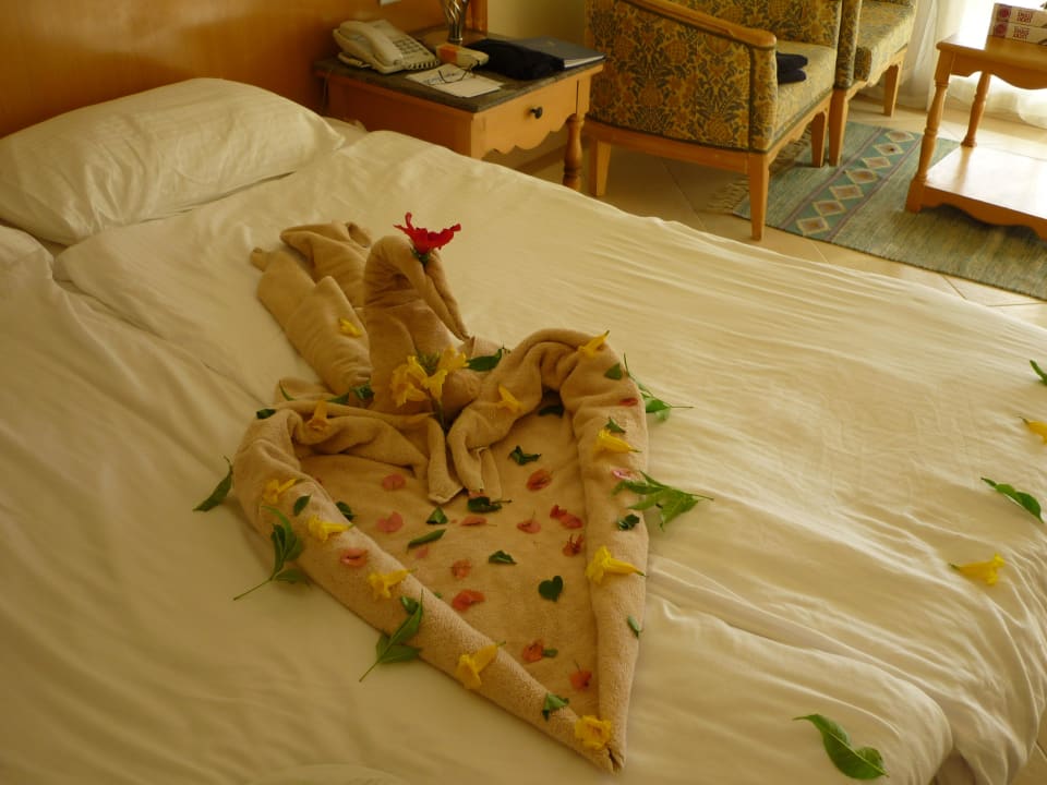 Hotelbett Pickalbatros Dana Beach Resort - Hurghada