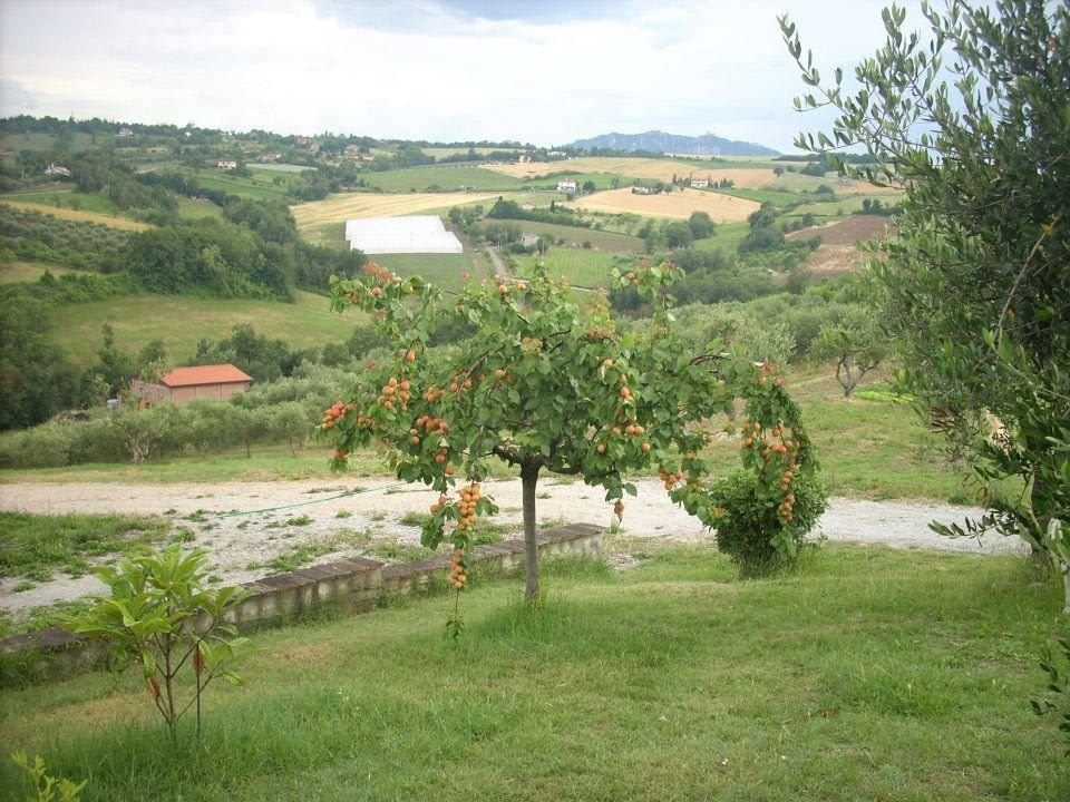Area verde B&B Il Cantinoccio