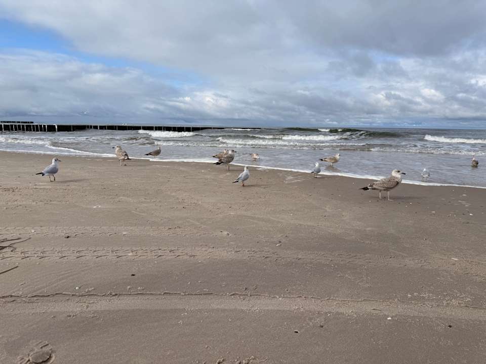 Strand Villa del Mar