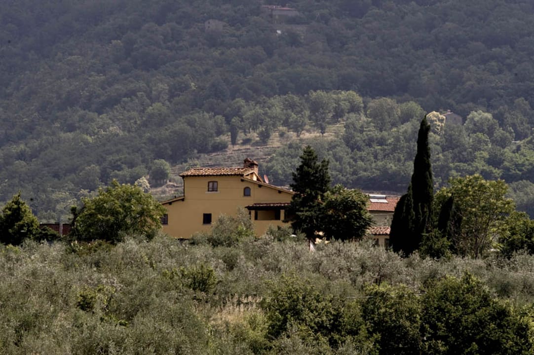 Il Bellini Agriturismo il Bellini