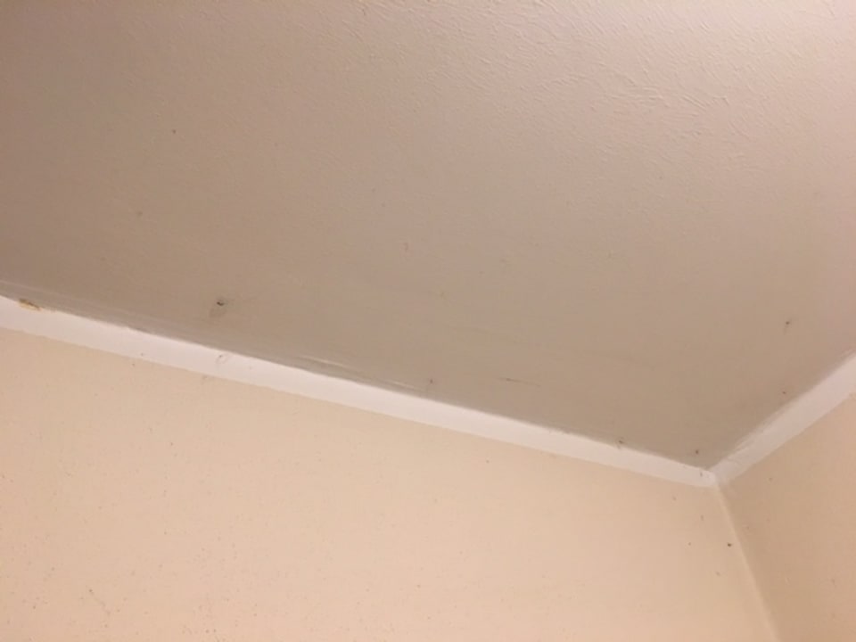 Sonstiges Hotel Carpe Diem