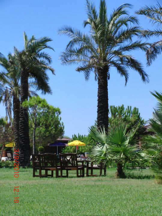 Gartenanlage Calimera Serra Palace