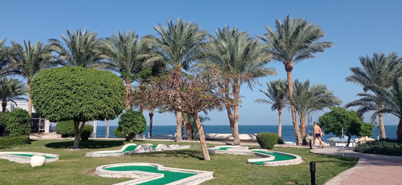 Sport & Freizeit Serenity Alpha Beach