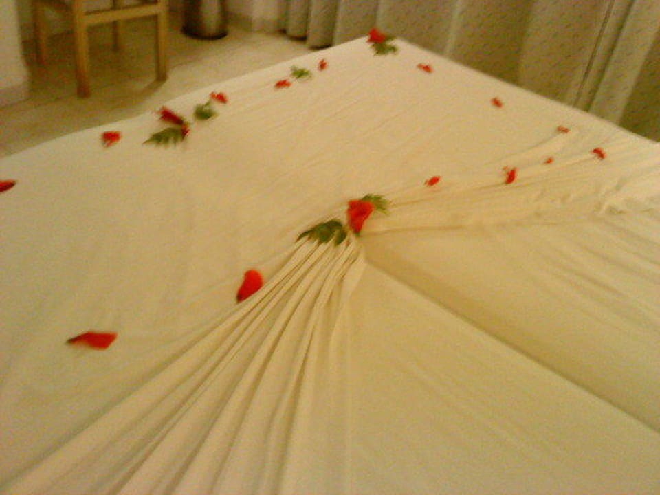 Urlaubstimmung garantiert Hotel El Mouradi Djerba Menzel