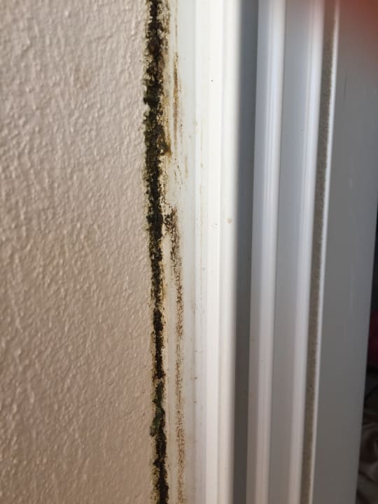 Zimmer Sandy Beach Resort