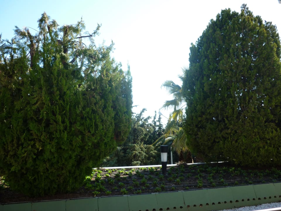 Ausblick vom Balkon bei gebuchter Meerseite  Side Star Elegance