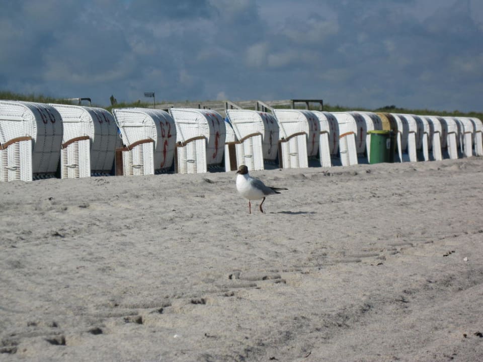 Strand  Ferienwohnungen Ferienpark Weissenhäuser Strand