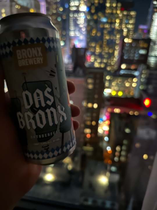 Ausblick Hotel Riu Plaza Manhattan Times Square