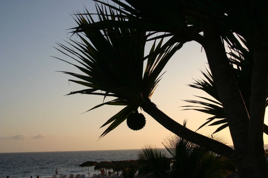 Riu Arecas Hotel Riu Arecas - Adults only