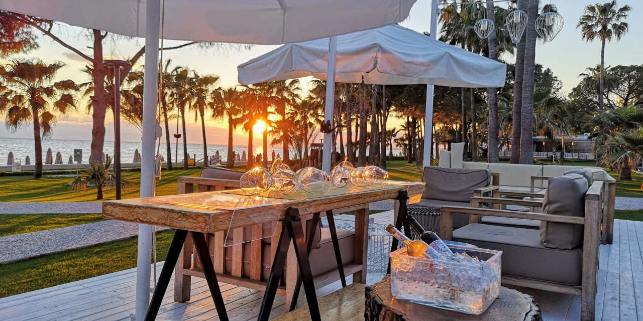 Gastro Acanthus Cennet Barut Collection