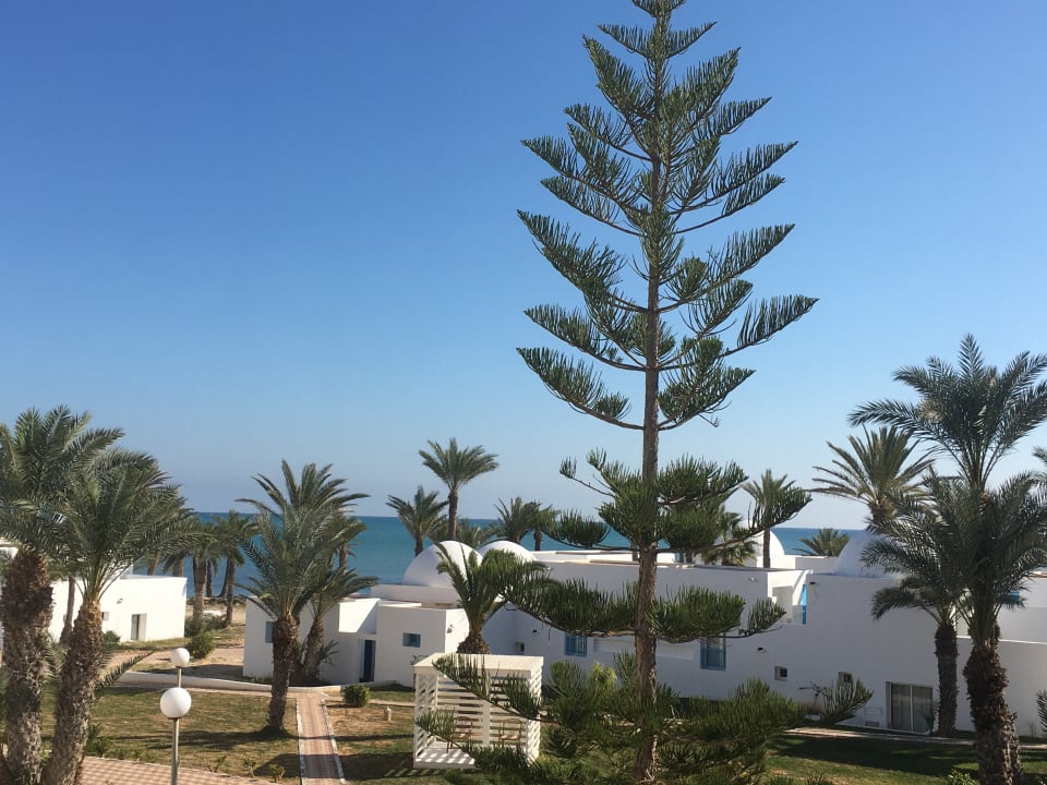 Ausblick Hotel El Mouradi Djerba Menzel