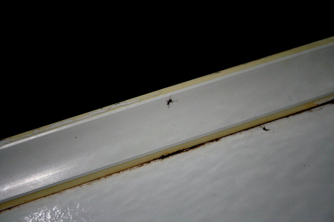 Badewanne mit Kleingetier und Plastikfußleiste Atrium Palace Thalasso Spa Resort & Villas