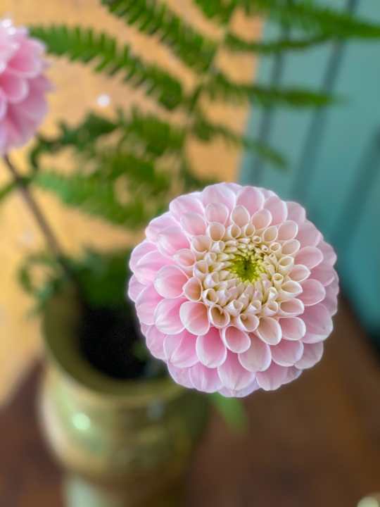 Sonstiges Rallarhustruns veranda & logi