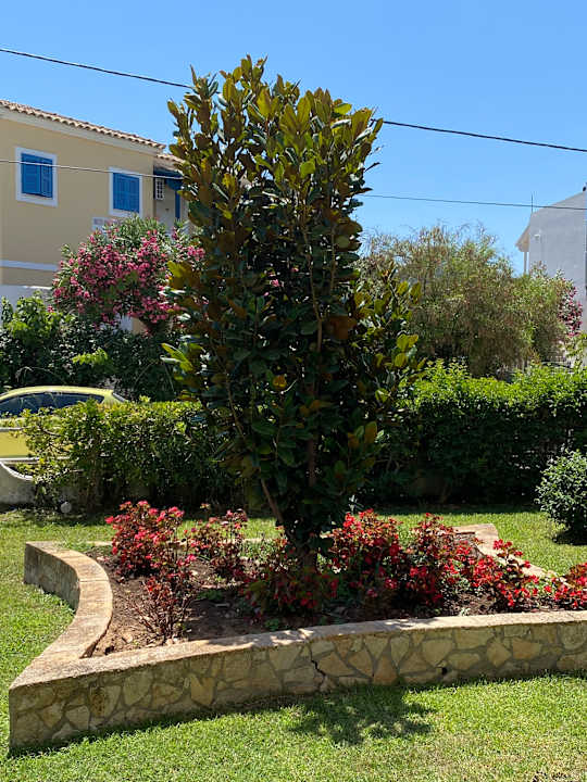 Gartenanlage Hotel Albatros