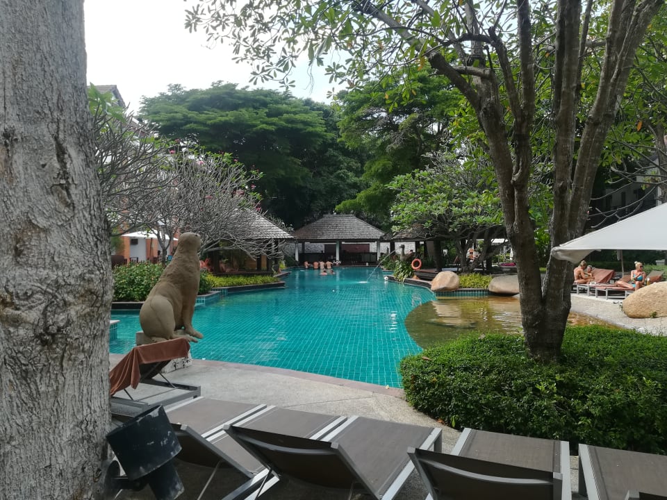 Pool Woodlands Hotel & Resort