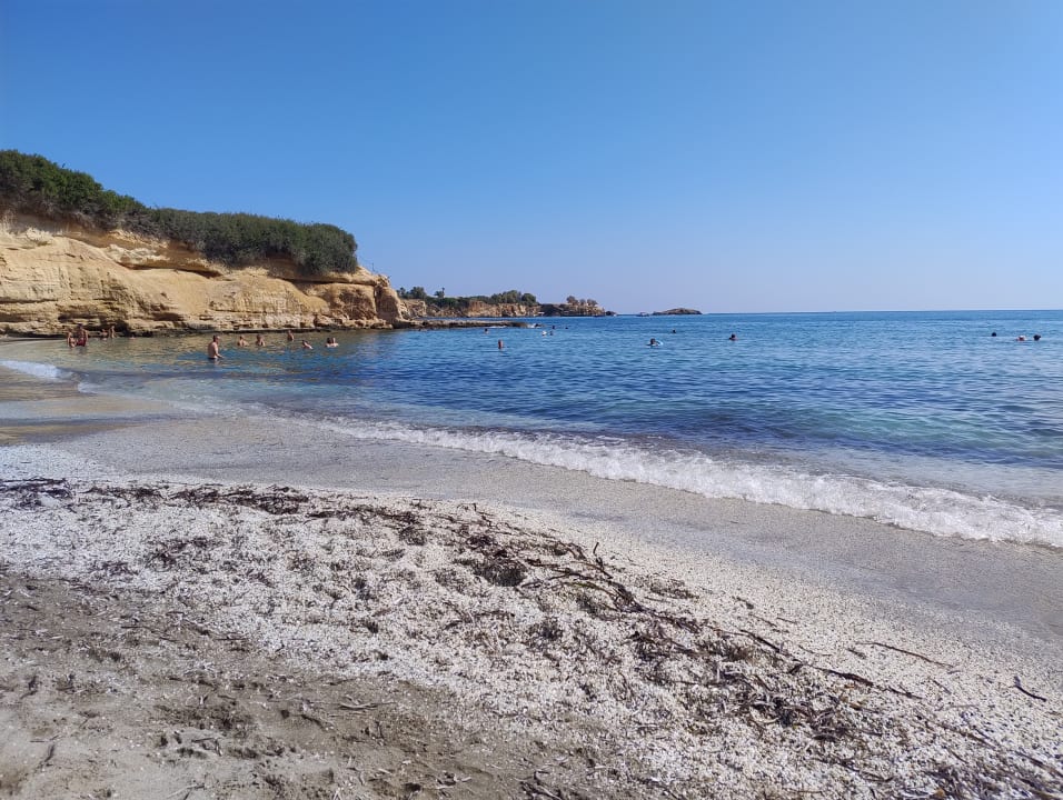 Strand TUI SUNEO Chrissi Amoudia