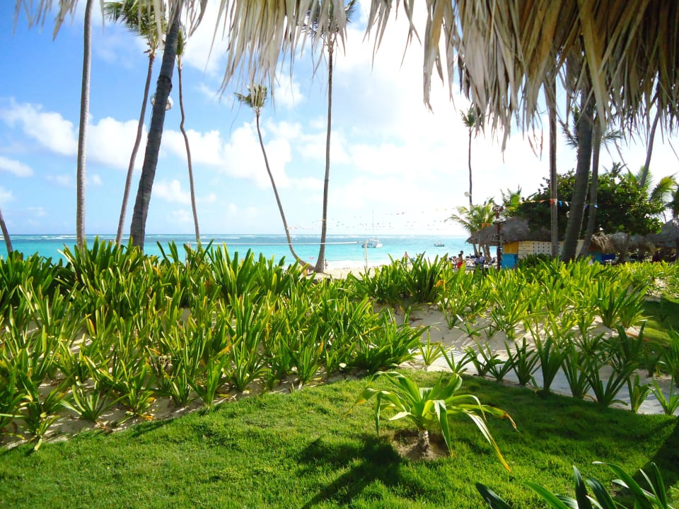 Vom Restaurant des Bavaro Hotel Grand Palladium Palace Resort, Spa & Casino