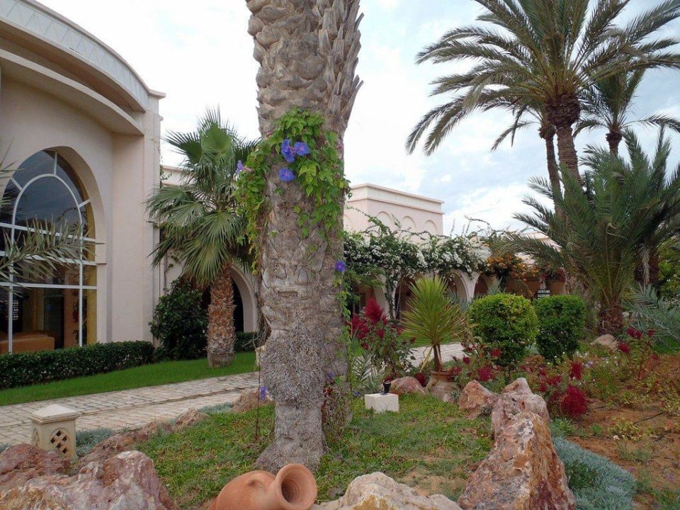 Schöne Blüten überall Zita Beach Resort