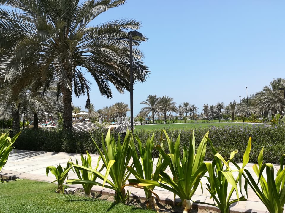 Gartenanlage Le Royal Méridien Beach Resort & Spa Dubai
