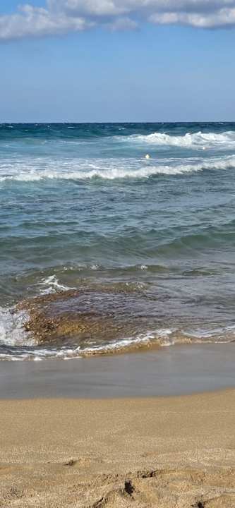 Ausblick allsun Hotel Carolina Mare