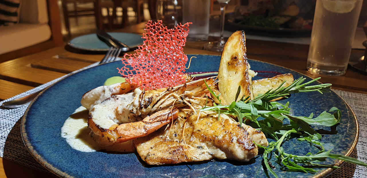 Gastro JAZ Elite Asteria