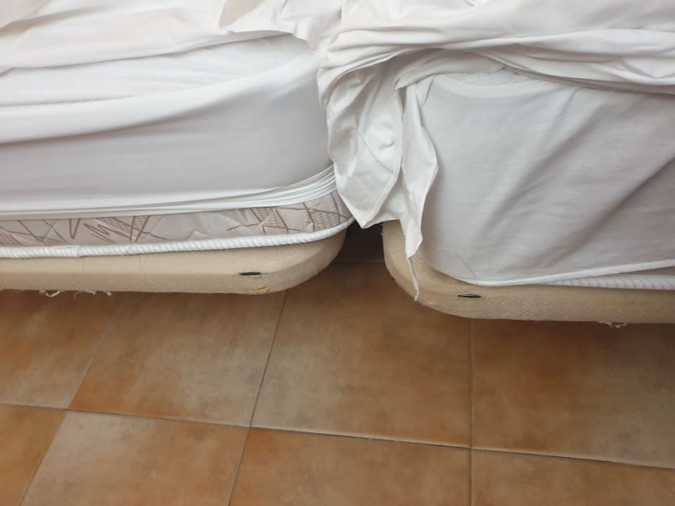 Zimmer SBH Hotel Royal Monica