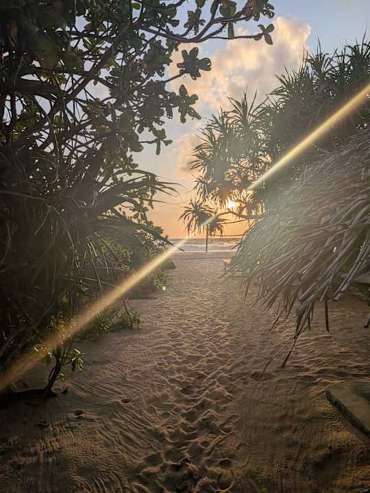 Strand Jungle Beach Camp Ahungalla