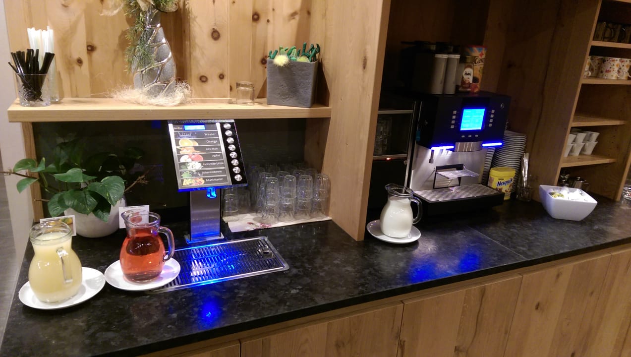 Gastro Molaris Lodge