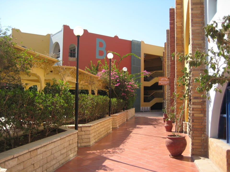 Blick auf den B Block Arabia Azur Resort
