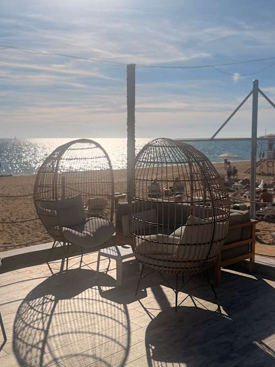 Strand Seashell Vega