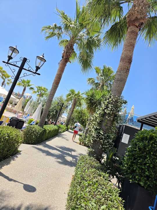 Gartenanlage Numa Bay Exclusive Hotel