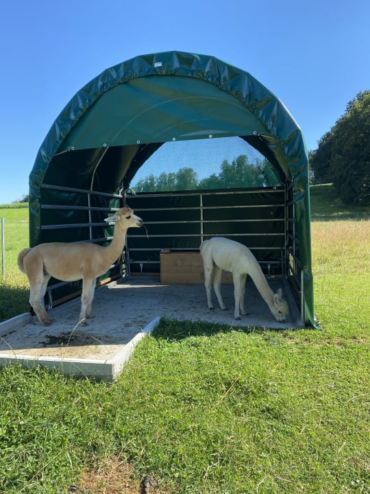 Sport & Freizeit Staller Ferienhof