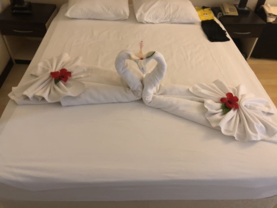 Zimmer Hotel Orfeus Park