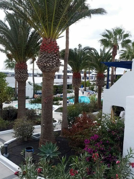 Garten Bungalows & Appartements Playamar